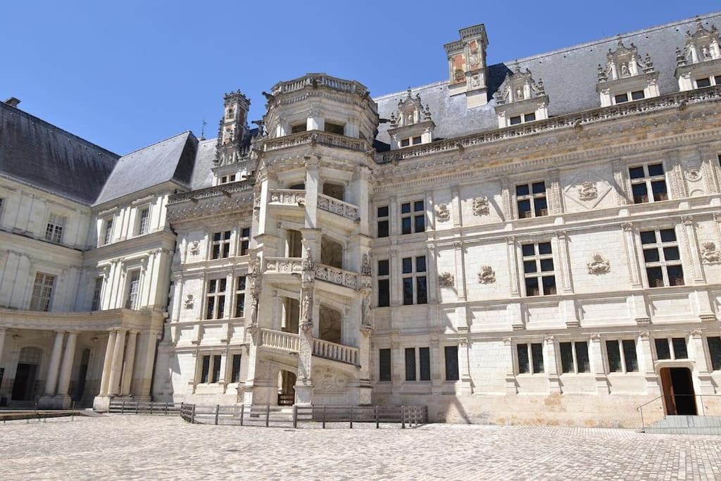 La Quintessence - Amboise Hypercentre Apartment Bagian luar foto